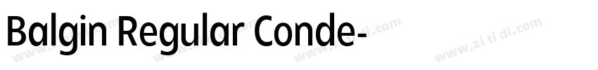 Balgin Regular Conde字体转换